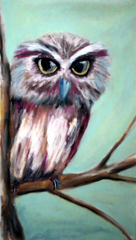 owl art