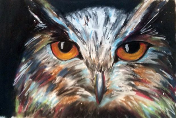 owl art